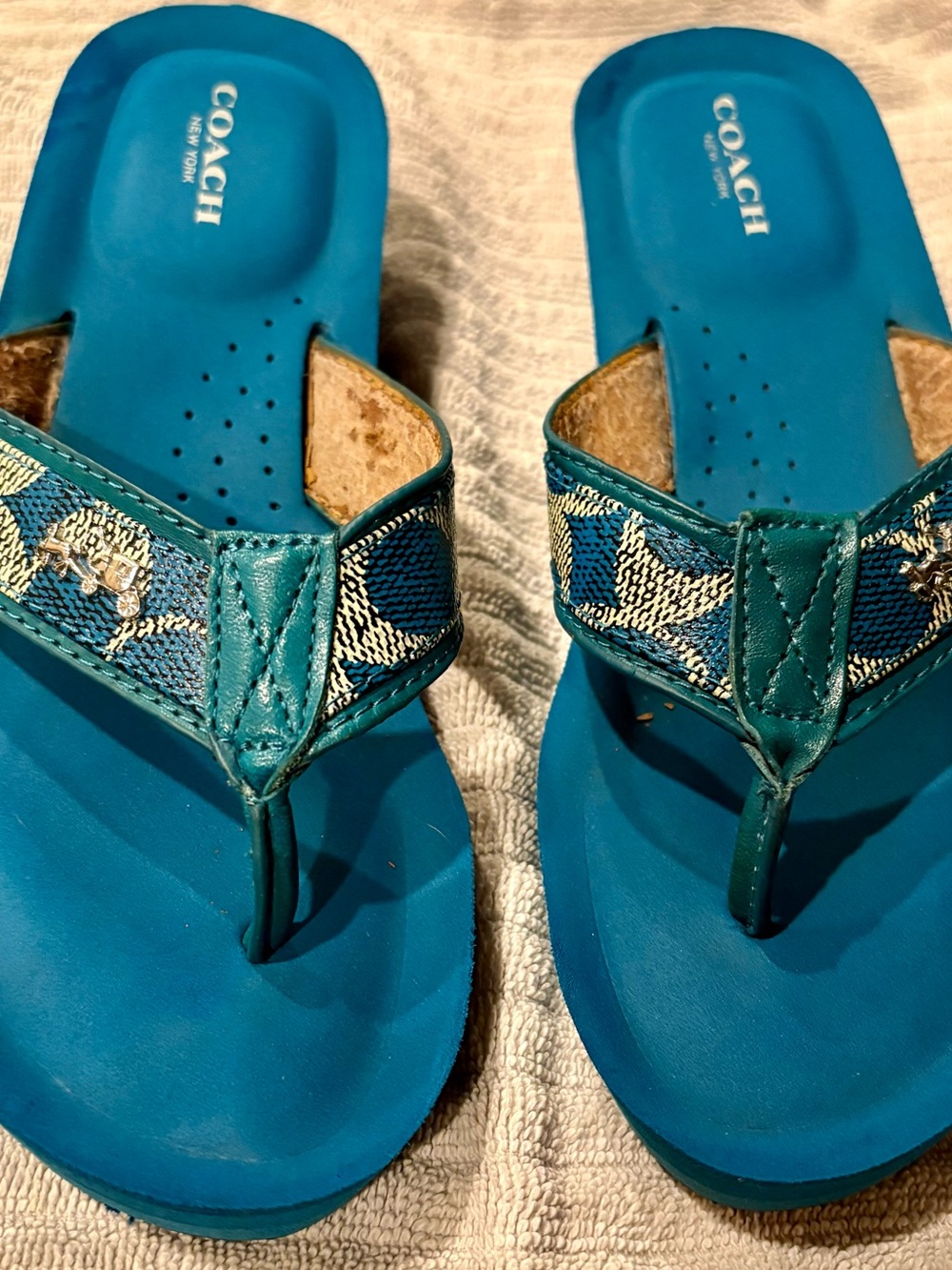 Coach Blue Blue Signature Jacquard Thong Sandals
